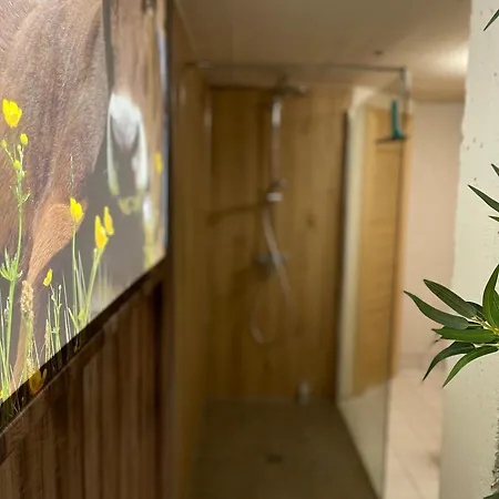 Apartment Ferienwohnung Am Muhlbach 1 Mit Bergbahn Unlimited *